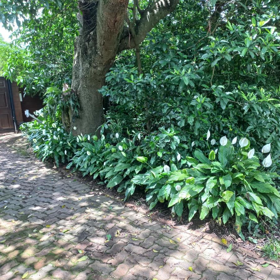 18 Pioneer Bnb Kloof Exteriér fotografie